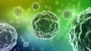 Bacterial infection