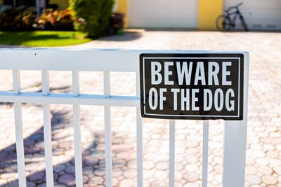 Homeowners insurance dog bite