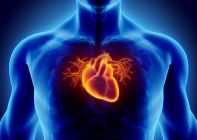 HeartWare heart pump