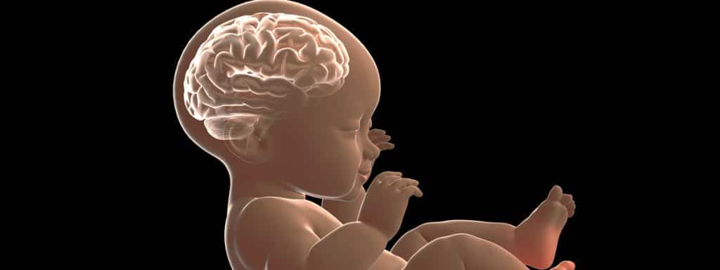 Hypoxic Ischemic Encephalopathy