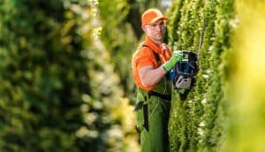 Own a RYOBI Hedge Trimmer? Check This Recall for Information on Laceration Risks